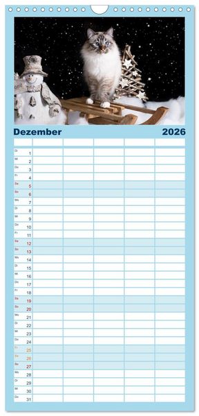 Produktbild: Familienplaner 2026 - Heilige Birma Katzen Kalender mit 5 Spalten (Wandkalender, 21 x 45 cm) CALVENDO