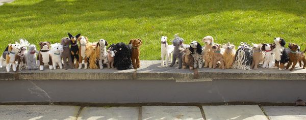 Produktbild: Knit Your Own Dog