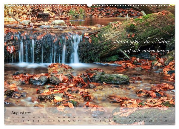 Produktbild: Shinrin yoku - Waldbaden 2026 (Wandkalender 2026 DIN A2 quer), CALVENDO Monatskalender
