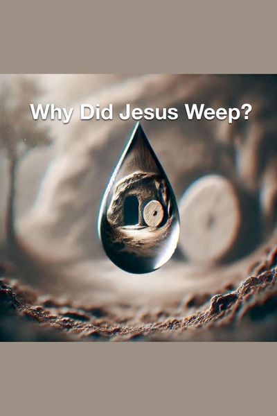Produktbild: Why Did Jesus Weep?