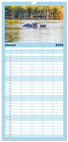Produktbild: Familienplaner 2026 - Nilpferde, Kolosse in Afrika mit 5 Spalten (Wandkalender, 21 x 45 cm) CALVENDO