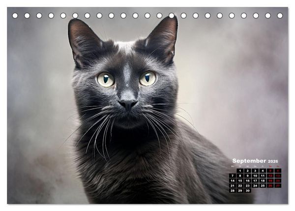 Produktbild: Only Black (Tischkalender 2026 DIN A5 quer), CALVENDO Monatskalender