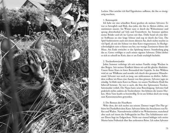 Produktbild: Meine Katze ... und ich
