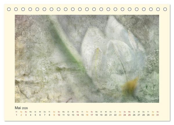 Produktbild: Fotografie trifft Malerei (Tischkalender 2026 DIN A5 quer), CALVENDO Monatskalender