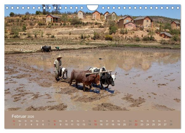 Produktbild: Alltag in Madagaskar (Wandkalender 2026 DIN A4 quer), CALVENDO Monatskalender