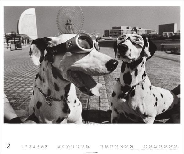Produktbild: Magnum Photos - Elliott Erwitt Kalender 2027
