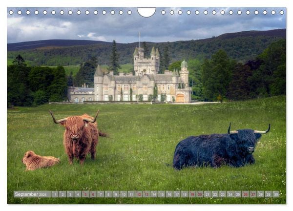 Produktbild: Zwischen Burgen und Klippen, der Nordosten Schottlands, ein Geheimtipp. (Wandkalender 2026 DIN A4 quer), CALVENDO Monatskalender