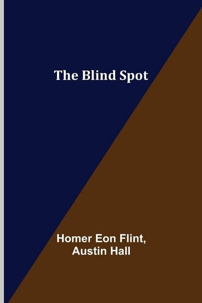 Produktbild: The Blind Spot