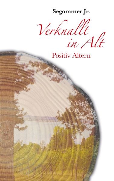 Verknallt in Alt, Taschenbuch von Segommer Jr., Twentysix Love, 9783740751982