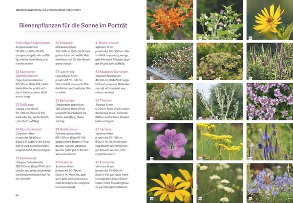 Produktbild: Bienenfreundlich G&auml;rtnern