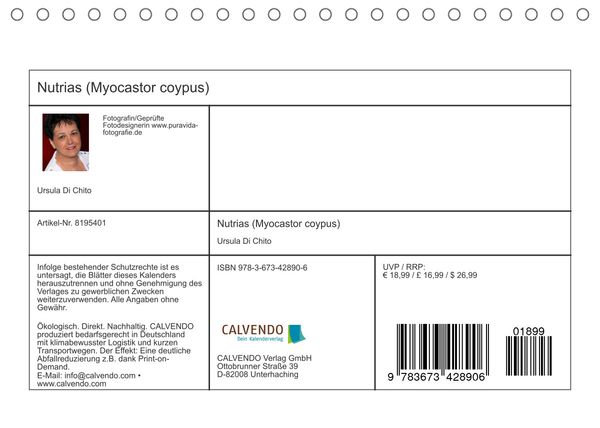 Produktbild: Nutrias (Myocastor coypus) (Tischkalender 2022 DIN A5 quer)