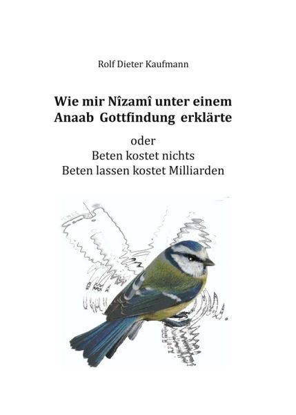 Wie mir Nîzamî unter einem Anaab Gottfindung erklärte, Taschenbuch von Rolf Dieter Kaufmann, Tredition, 9783734595578