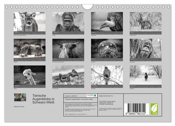 Produktbild: Tierische Augenblicke in Schwarz-Wei&szlig; (Wandkalender 2026 DIN A4 quer), CALVENDO Monatskalender