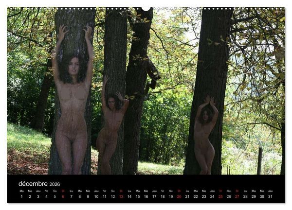 Produktbild: Beaut&eacute;s hongroises (Calendrier mural 2026 DIN A2 vertical) calendrier de bureau