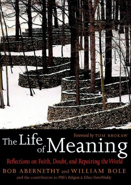 Produktbild: Abernethy, B: The Life Of Meaning