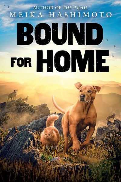 Produktbild: Bound for Home