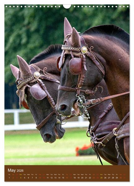 Produktbild: Carriage Driving - Horses in Action (Wall Calendar 2026 DIN A3 portrait), CALVENDO 12 Month Wall Calendar