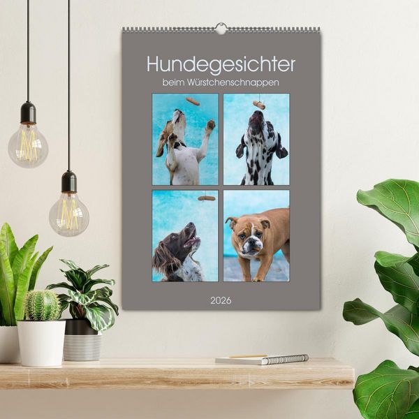 Produktbild: Hundegesichter beim W&uuml;rstchenschnappen (Wandkalender 2026 DIN A2 hoch), CALVENDO Monatskalender