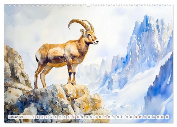 Produktbild: Wildtiere Europas - Farbwelt der heimischen Fauna (hochwertiger Premium Wandkalender 2026 DIN A2 quer), Kunstdruck in Hochglanz