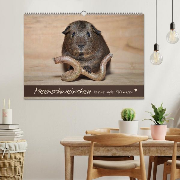Produktbild: Meerschweinchen - Kleine s&uuml;&szlig;e Fellnasen (Wandkalender 2026 DIN A2 quer), CALVENDO Monatskalender