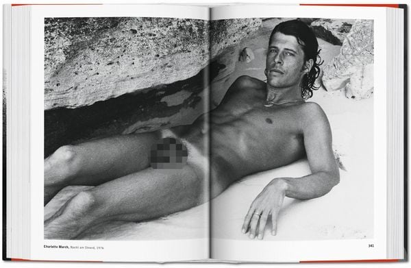 Produktbild: The Male Nude