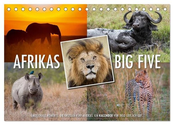 Produktbild: Emotionale Momente: Afrikas Big Five (Tischkalender 2026 DIN A5 quer), CALVENDO Monatskalender