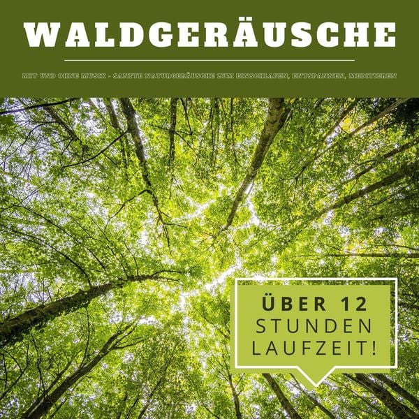 Waldgeräusche mit und ohne Musik (XXL Bundle)