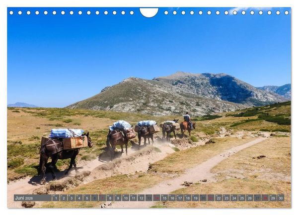 Produktbild: Weitwandern auf Korsika GR 20 (Wandkalender 2026 DIN A4 quer), CALVENDO Monatskalender