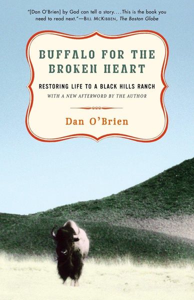 Produktbild: Buffalo for the Broken Heart