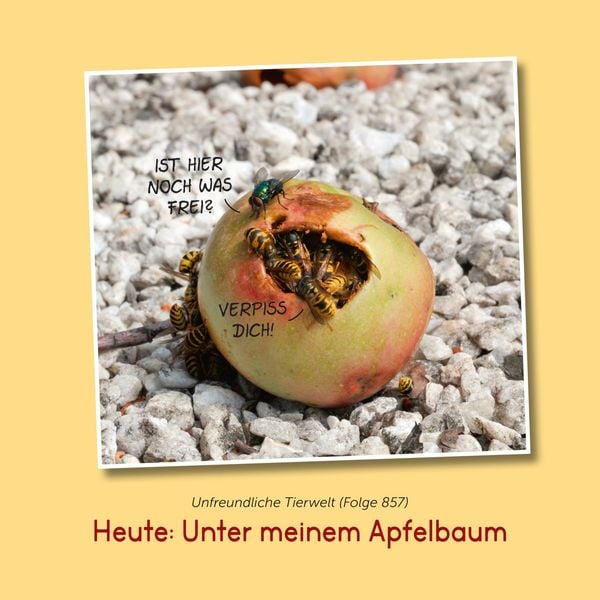 Produktbild: Uli Stein: Freizeit & Beruf: Im Garten!