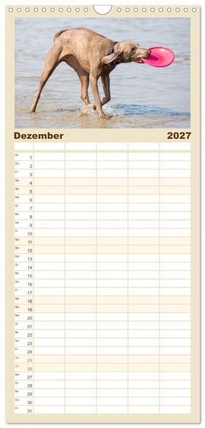 Produktbild: Familienplaner 2027 - Freunde auf vier Pfoten am Strand mit 5 Spalten (Wandkalender, 21 x 45 cm) CALVENDO