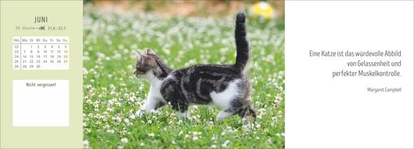 Produktbild: Katzen Premium-Tischplaner 2027 - Der literarische Wochenkalender mit Zitaten