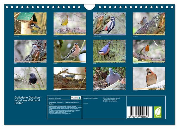 Produktbild: Gefiederte Gesellen - V&ouml;gel aus Wald und Garten (Wandkalender 2026 DIN A4 quer), CALVENDO Monatskalender