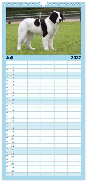 Produktbild: Familienplaner 2027 - Landseer - Das Wasser ist ihr Element mit 5 Spalten (Wandkalender, 21 x 45 cm) CALVENDO