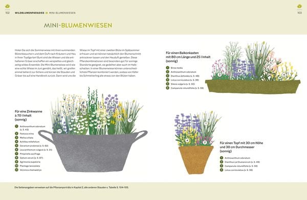 Produktbild: Wildblumen f&uuml;r Balkon und Terrasse