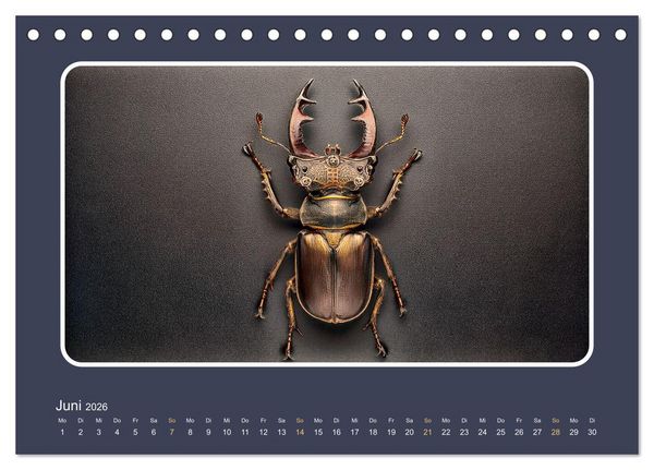 Produktbild: Roboterinsekten (Tischkalender 2026 DIN A5 quer), CALVENDO Monatskalender