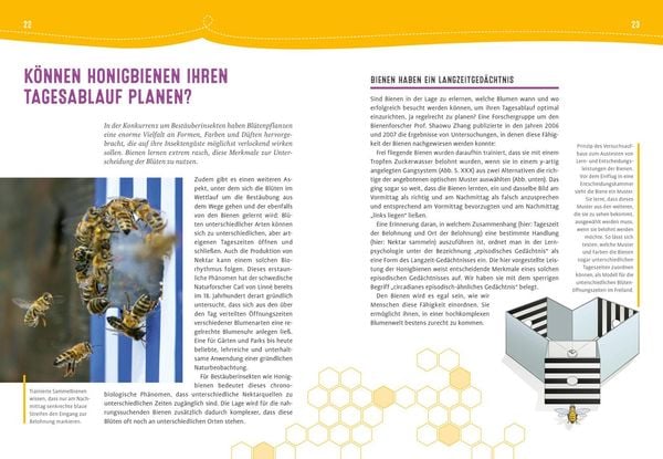 Produktbild: Auch Bienen haben Schwei&szlig;f&uuml;&szlig;e