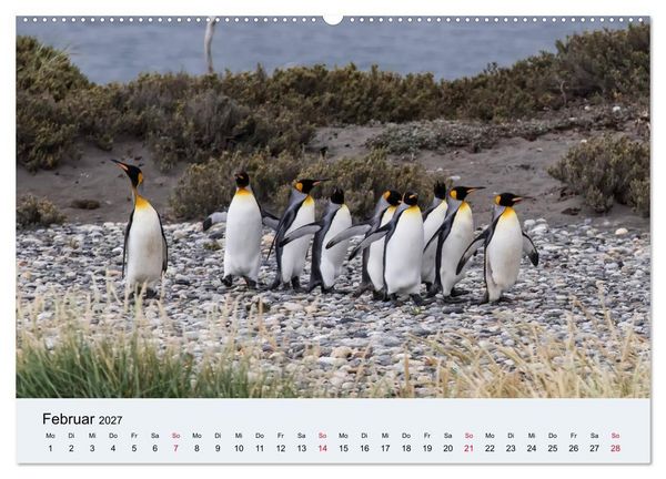 Produktbild: Feuerland - Am Puls der Wildnis (hochwertiger Premium Wandkalender 2027 DIN A2 quer), Kunstdruck in Hochglanz