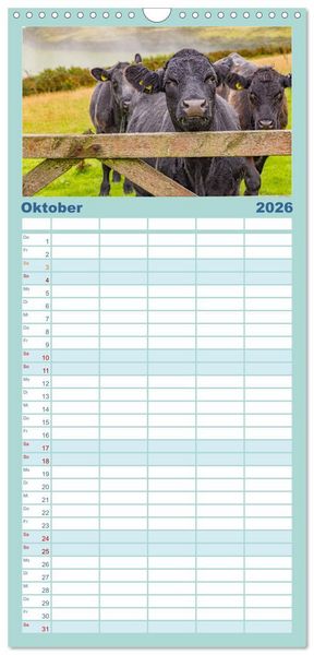 Produktbild: Familienplaner 2026 - Exmoor National Park mit 5 Spalten (Wandkalender, 21 x 45 cm) CALVENDO