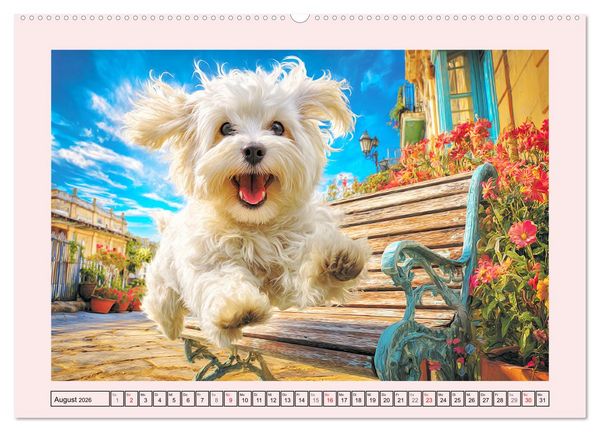 Produktbild: Bezaubernde Malteser. Fr&ouml;hliche Zuckerschnuten f&uuml;r Herz und Seele (Wandkalender 2026 DIN A2 quer), CALVENDO Monatskalender