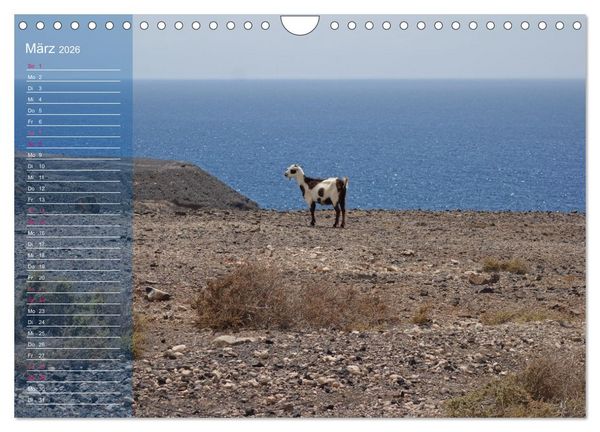 Produktbild: Fuerteventura in Ruhe (Wandkalender 2026 DIN A4 quer), CALVENDO Monatskalender