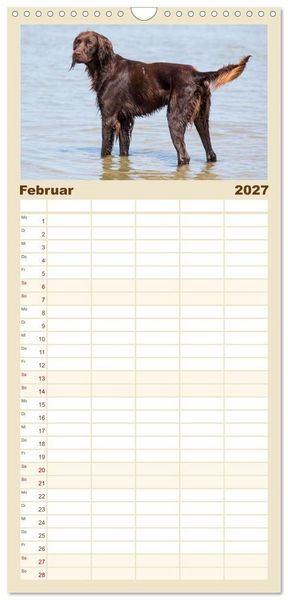 Produktbild: Familienplaner 2027 - Freunde auf vier Pfoten am Strand mit 5 Spalten (Wandkalender, 21 x 45 cm) CALVENDO