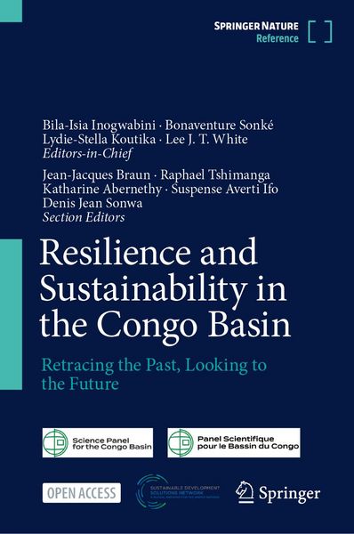 Produktbild: Resilience and Sustainability in the Congo Basin