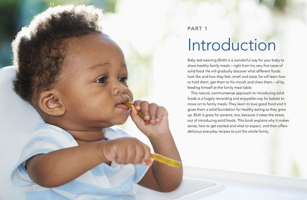 Produktbild: The Baby-Led Weaning Cookbook, Volume Two
