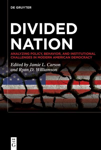 Produktbild: Divided Nation