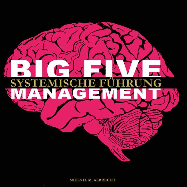 Produktbild: Big Five Management