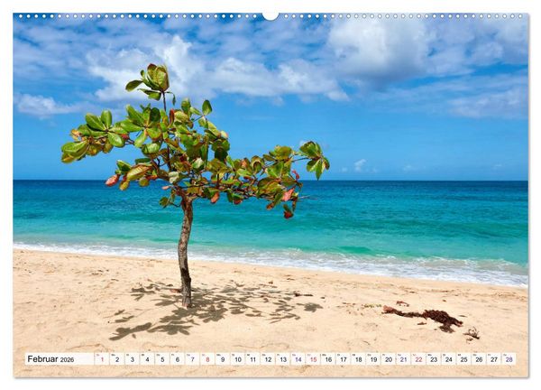 Produktbild: Inseln &uuml;ber dem Winde (hochwertiger Premium Wandkalender 2026 DIN A2 quer), Kunstdruck in Hochglanz
