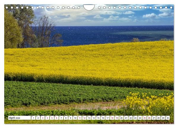 Produktbild: Beckerwitz - Impressionen aus der Wohlenberger Wiek (Wismarer Bucht) (Wandkalender 2026 DIN A4 quer), CALVENDO Monatskalender