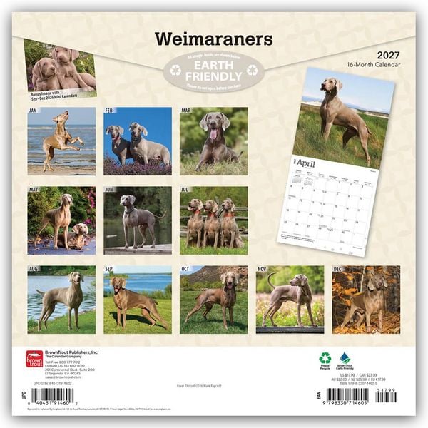 Produktbild: Weimaraners &ndash; Weimaraner 2027 &ndash; 16-Monatskalender