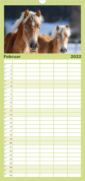 Produktbild: Welt der Pferde - Familienplaner hoch (Wandkalender 2022 , 21 cm x 45 cm, hoch)
